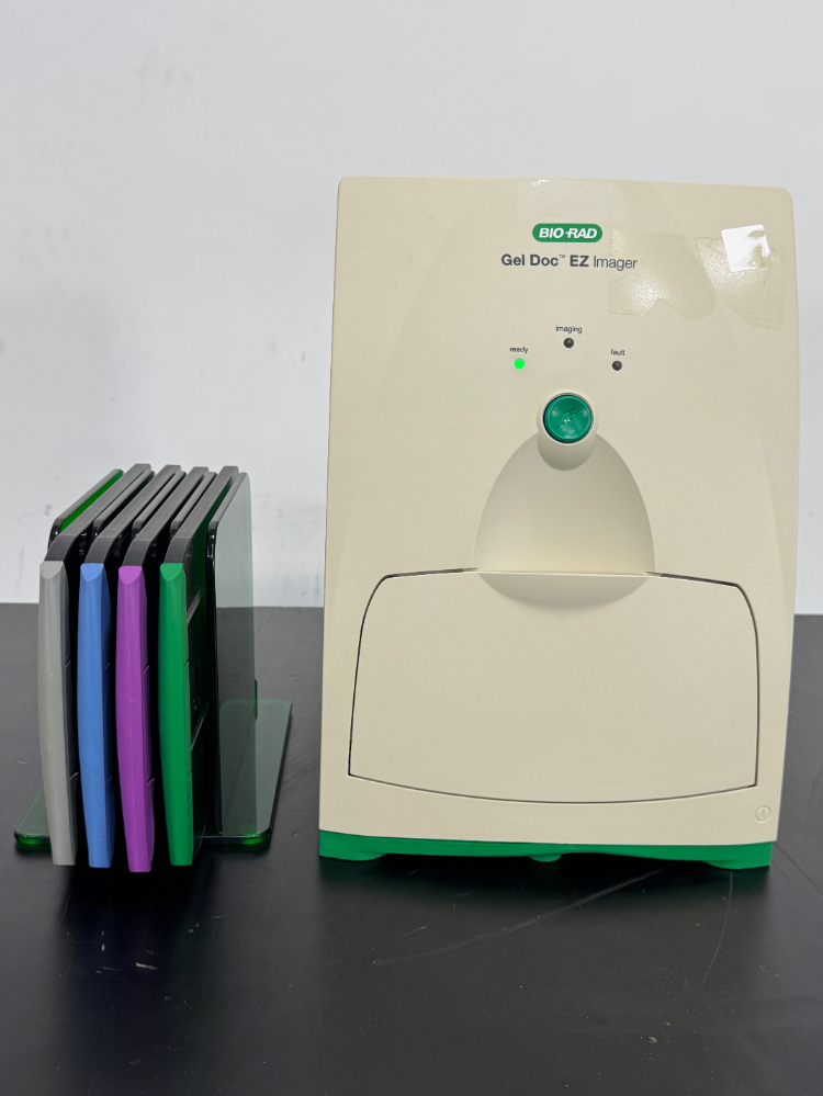 Image of Bio-Rad Gel Doc EZ Imager with 4 Trays – UV, White, Blue, Stain-Free